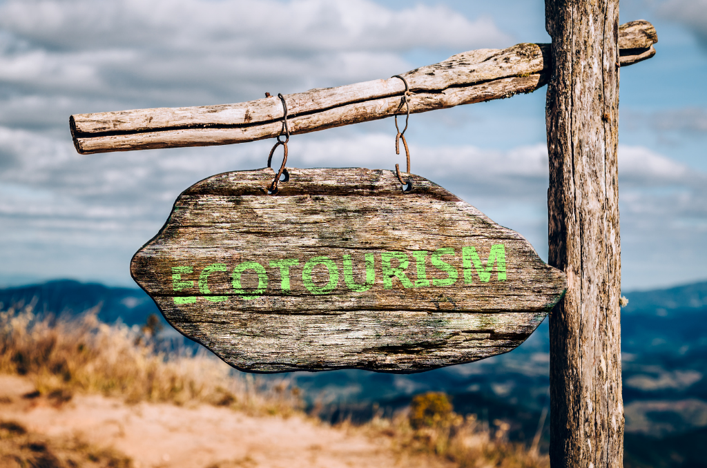 3 AMAZING ECOTOURISM DESTINATIONS IN BRAZIL